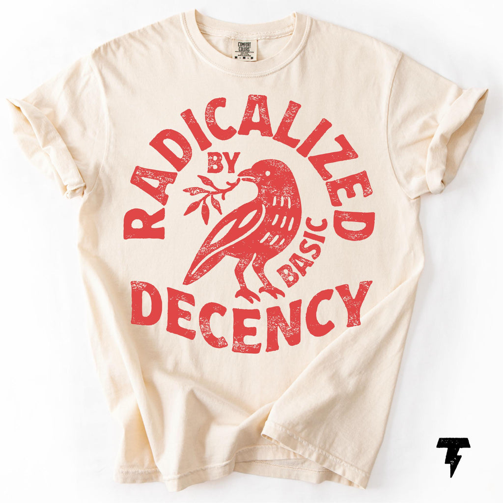 Radicalized Basic Decency Comfort Colors Activist Tee Unisex