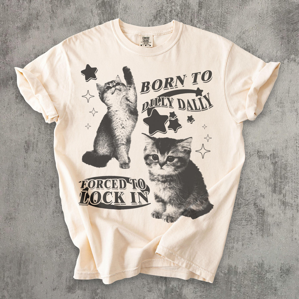 Born Dilly Dally Forced Lock Y2k Kitten Cat Meme Silly Cats Tee Comfort Colors Ironic Tees Cat Lover