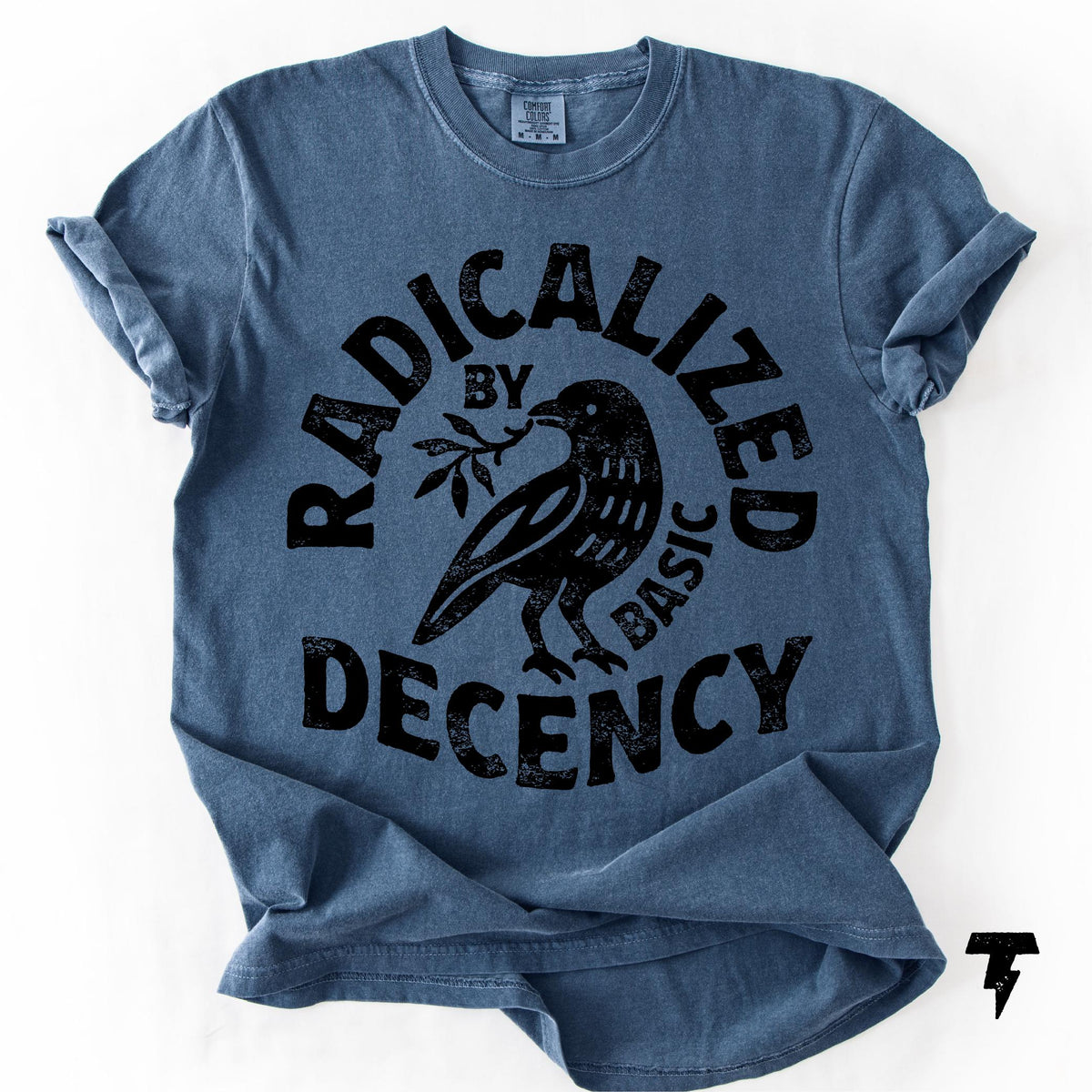 Radicalized Basic Decency Comfort Colors Activist Tee Unisex