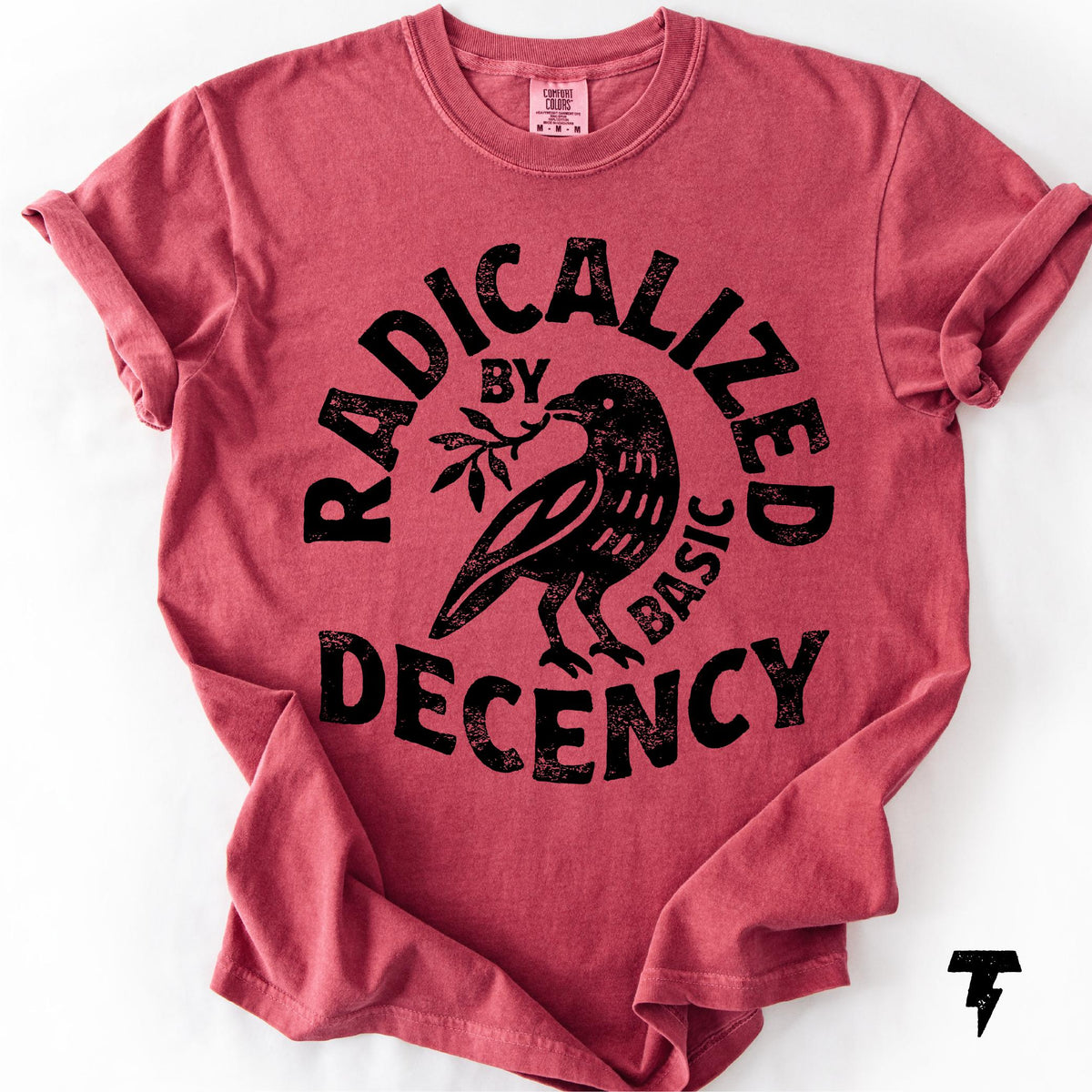 Radicalized Basic Decency Comfort Colors Activist Tee Unisex