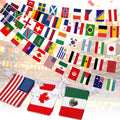 2026 World Cup Flag Banner, 48 Countries International Bunting, Soccer Tournament National String Pennant for Sports Bar, Club, Home Garden, Party Decorations, Banderas del Mundial (5.5" x 8.3"-45 ft)