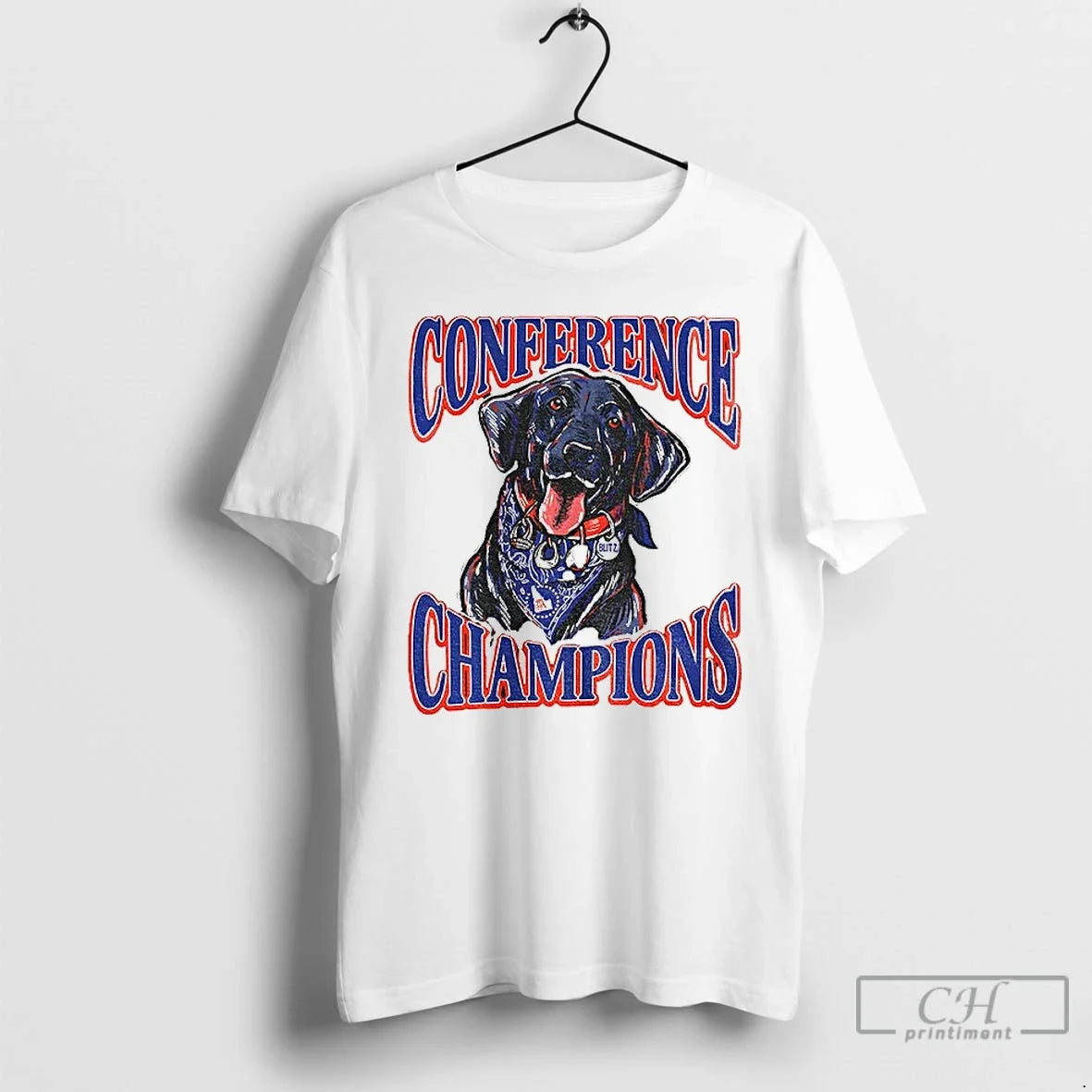 Classic Boise State Broncos Back Back Conference Champions Blitz T-Shirts