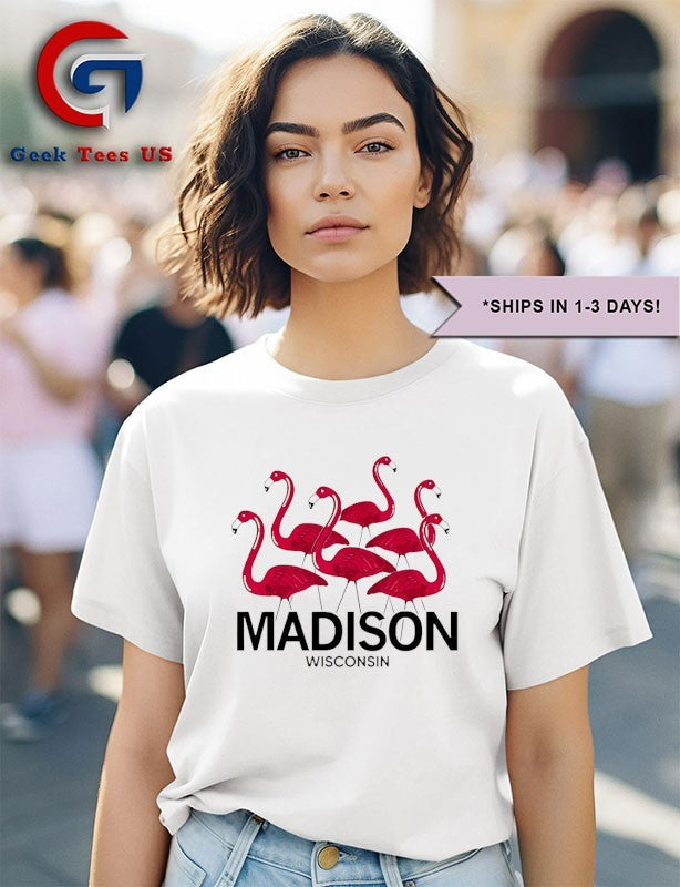 Flamingos Madison Wisconsin shirt Unisex , , , Long Sleeve Tee