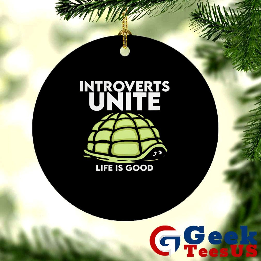 Introverts unite life is good turtle shirt Unisex , , , Long Sleeve Tee