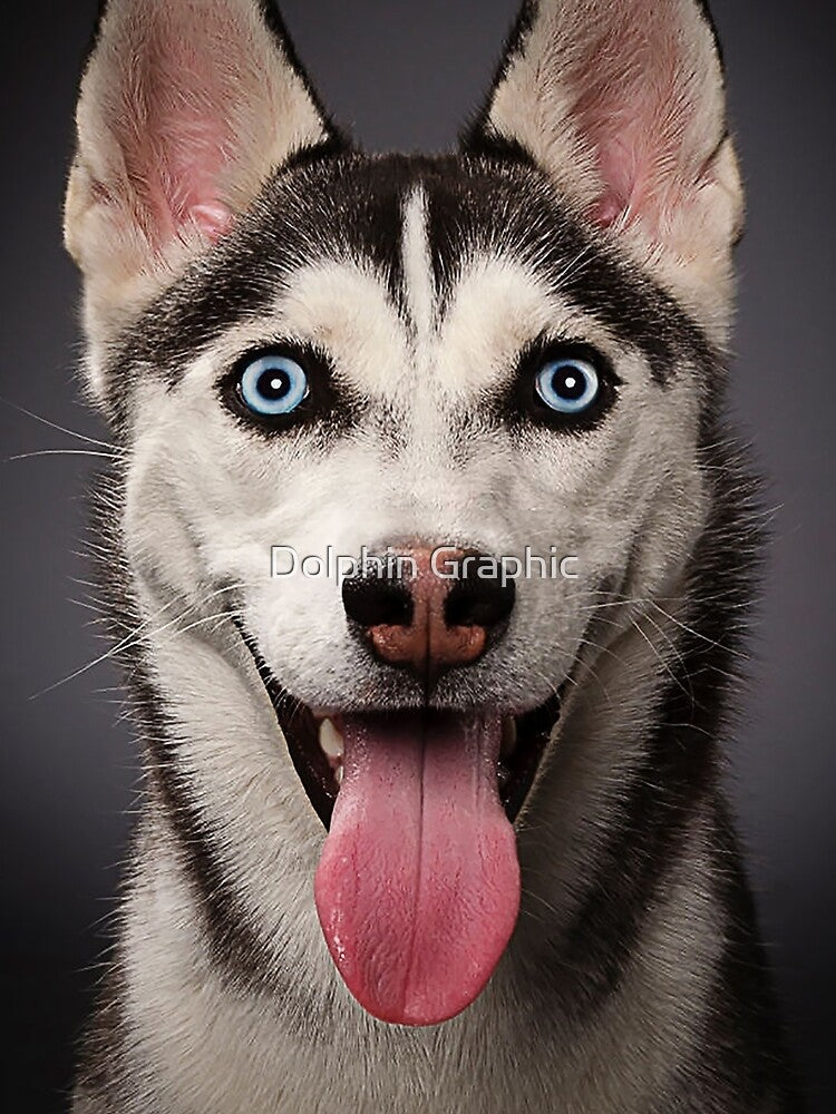 Siberian Husky Dog Animals Gifts Safe Face protection covering Men Women by Dolphin Graphic
