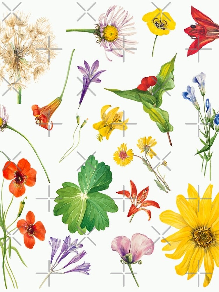 Colorful Vintage wildflowers by Bellathewilde