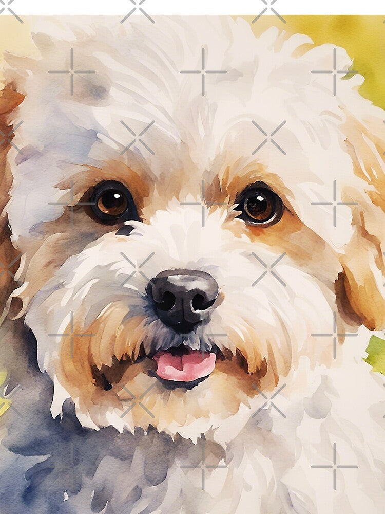 Maltipoo Art by TheAnimalZ00