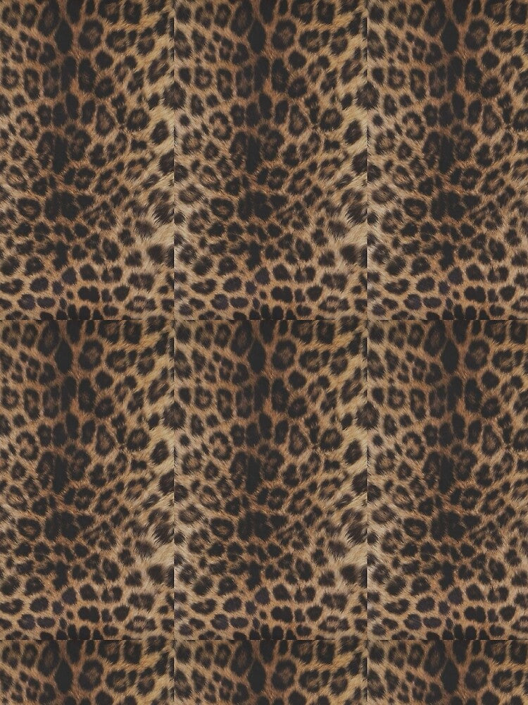 cheetah print ? by trendsetterrrr