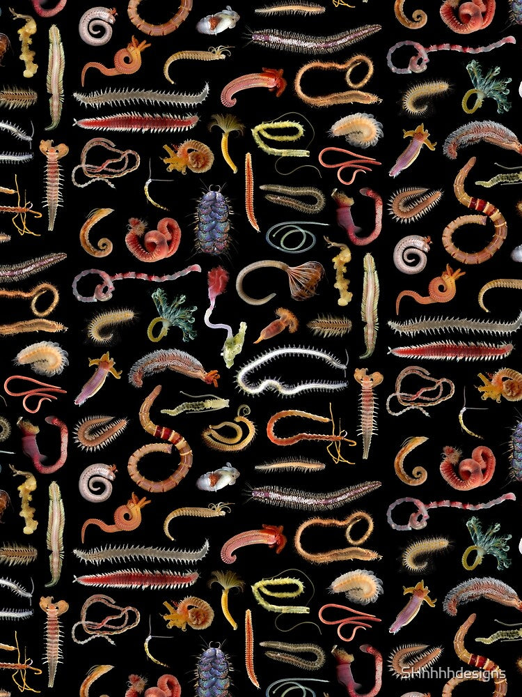 Annelids! by SHhhhhdesigns
