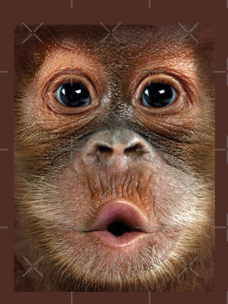 Big Face Baby Orangutan Monkey by PeterSS
