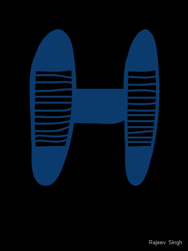 Initial Monogram H by Rajeev  Singh