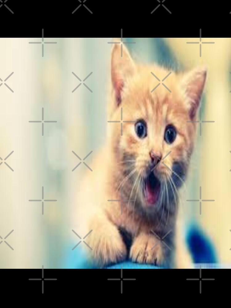 Pusi Cat Design by Sameer Shrivastava