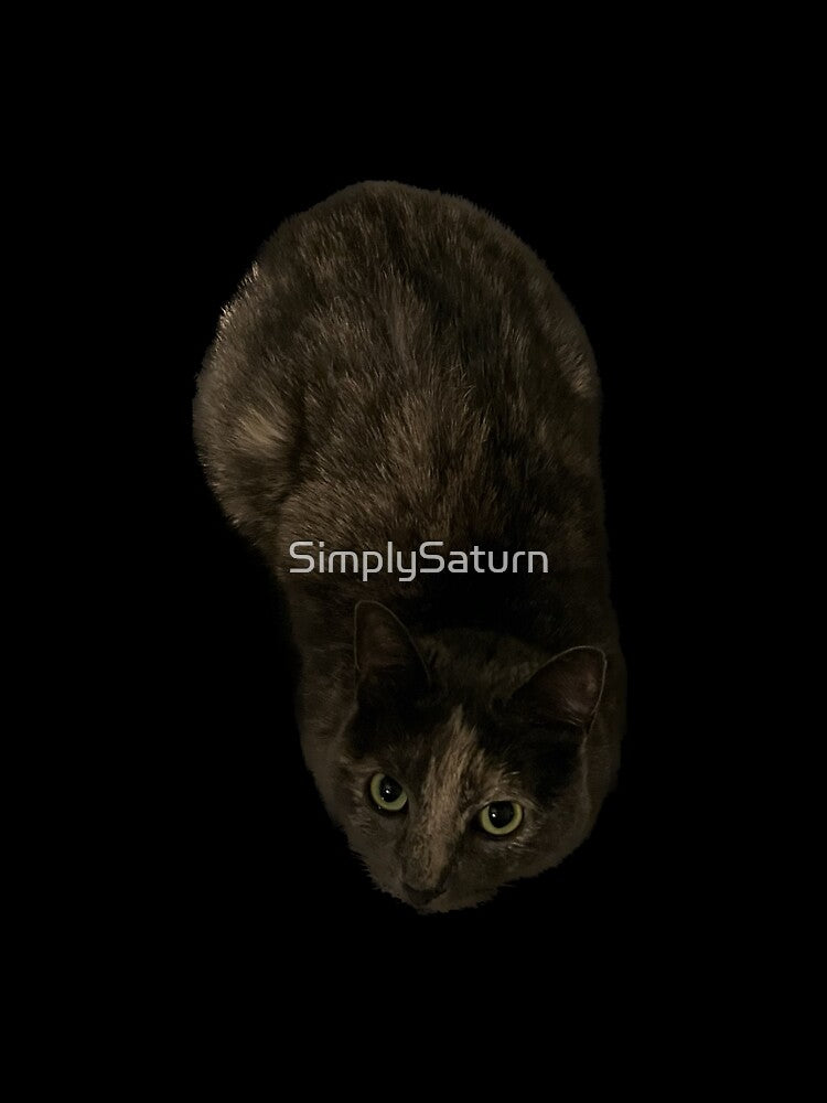 My Cat by SimplySaturn
