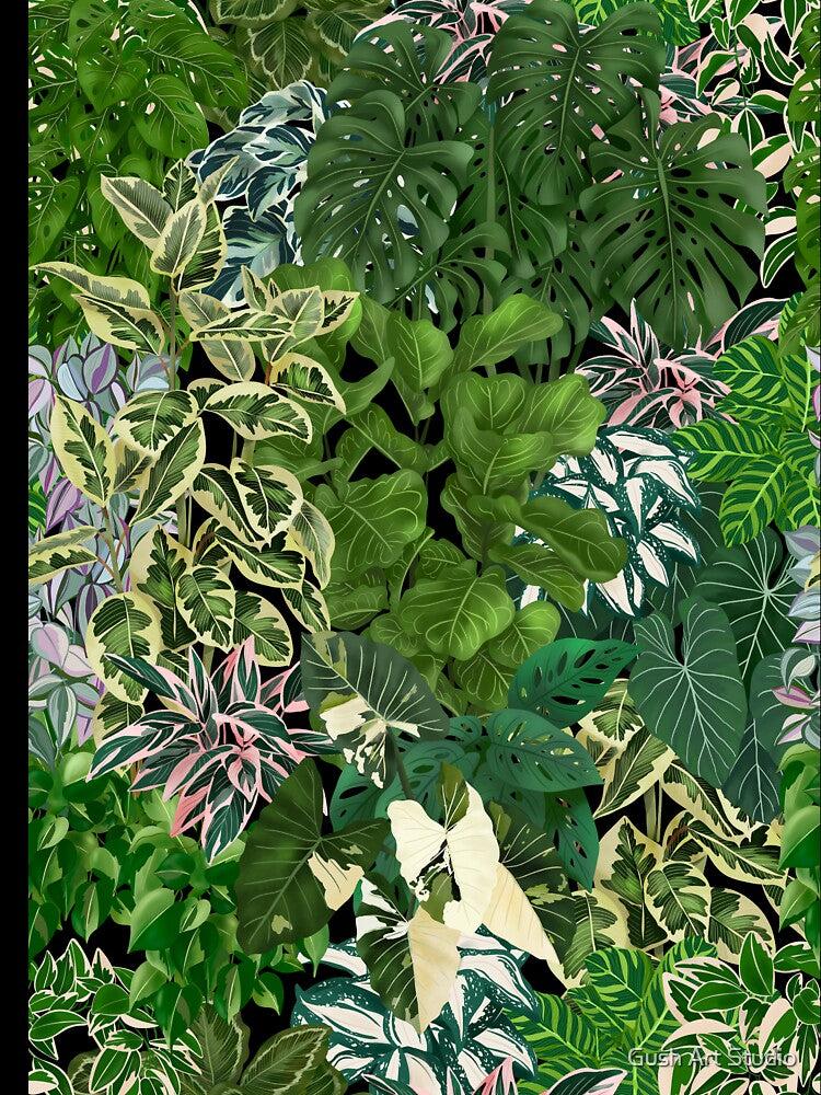 Urban Jungle House Plants Illustration 2 by Ana Moguš