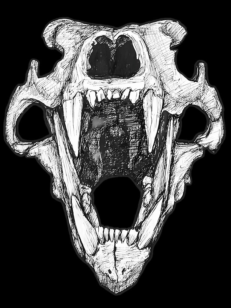 Macabre Bear Skull Anatomy Vintage Sketch by cxjrusdkc4