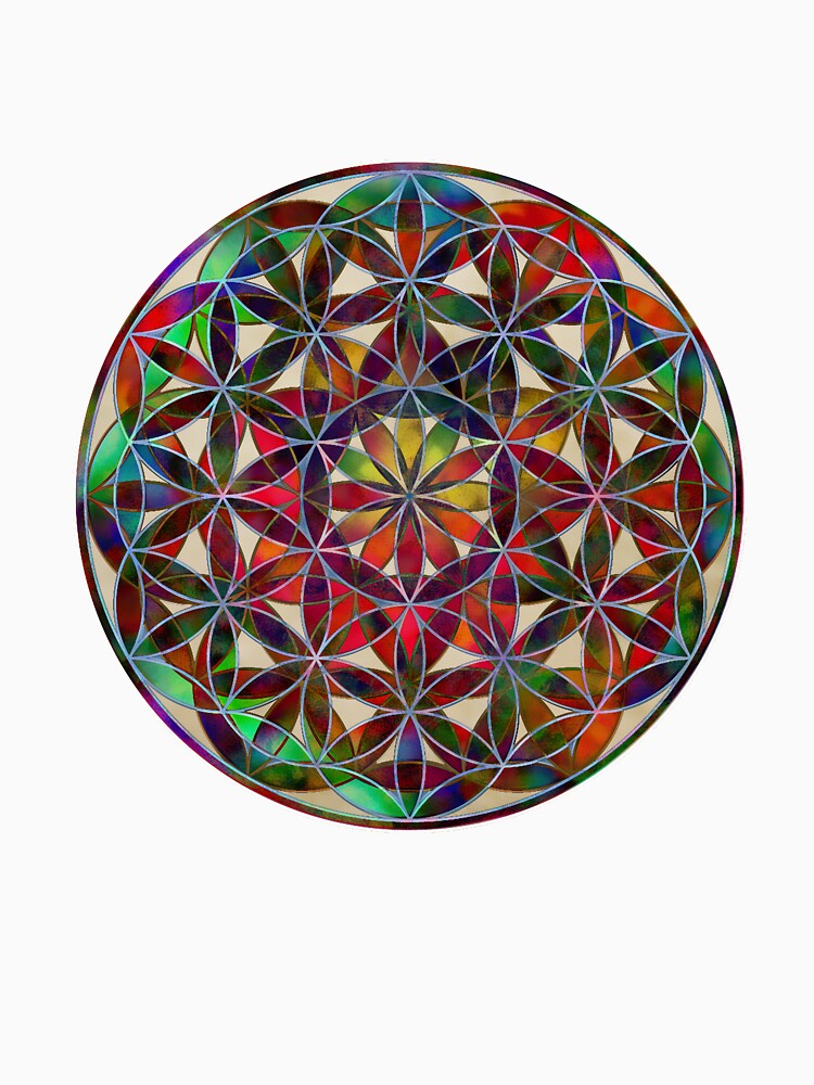 FLOWER OF LIFE by Klara Acel