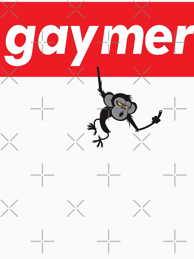 Gaymer Words Gamer Use Gay Gamer by ProjectX23