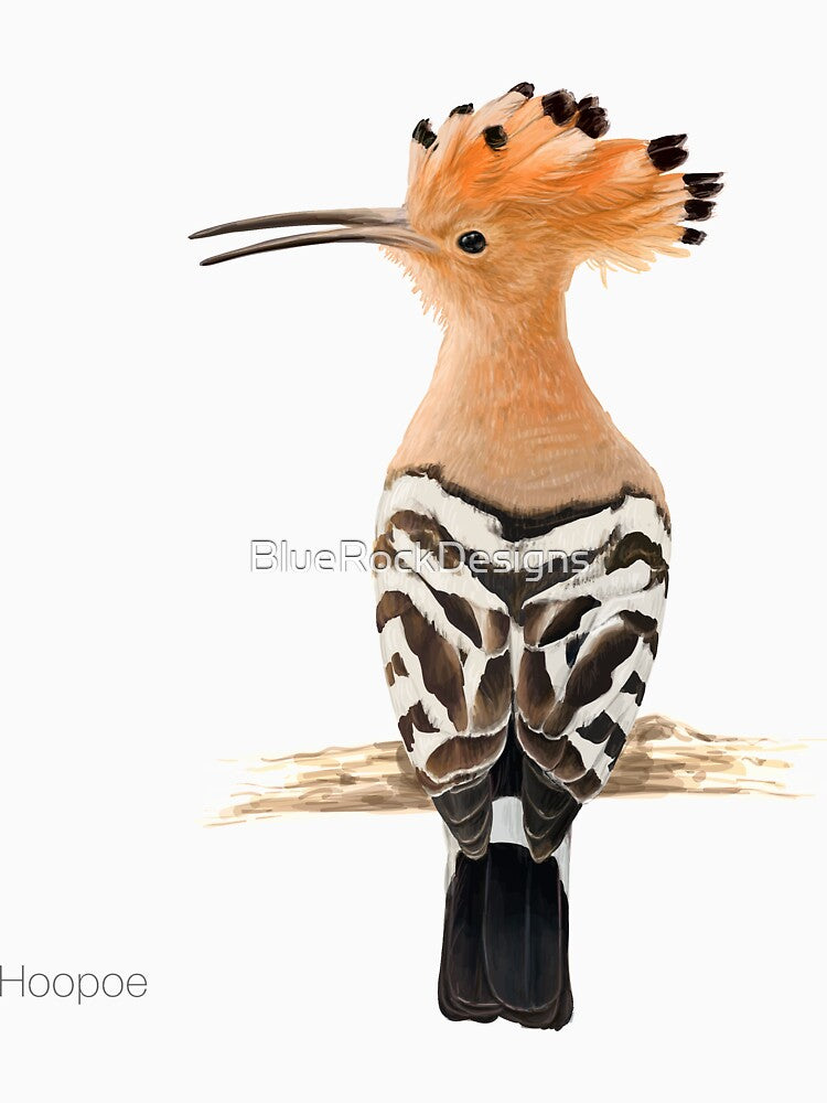 Hoopoe Tropical Exotic Bird Illustration by BlueRockDesigns