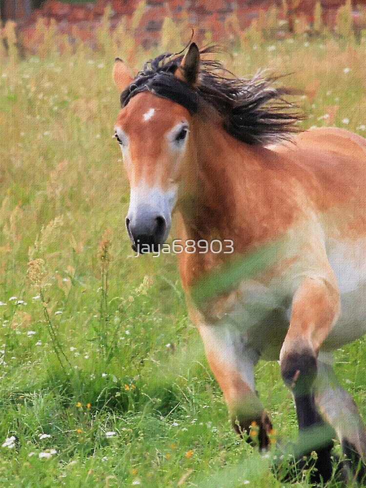 Horses Running by jaya68903