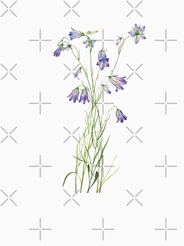 Wildflowers, Purple Flowers, Iris by grandlovely