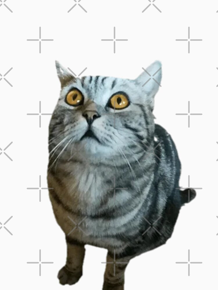 Funny cat by funny   artist