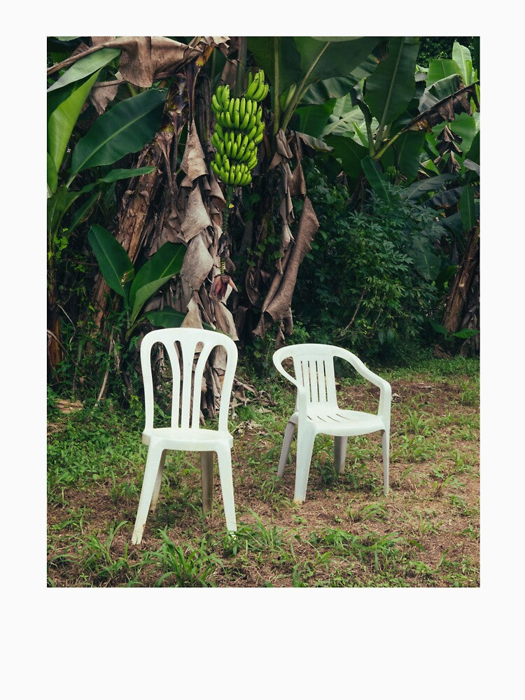 Banana Trees by Arnaruun