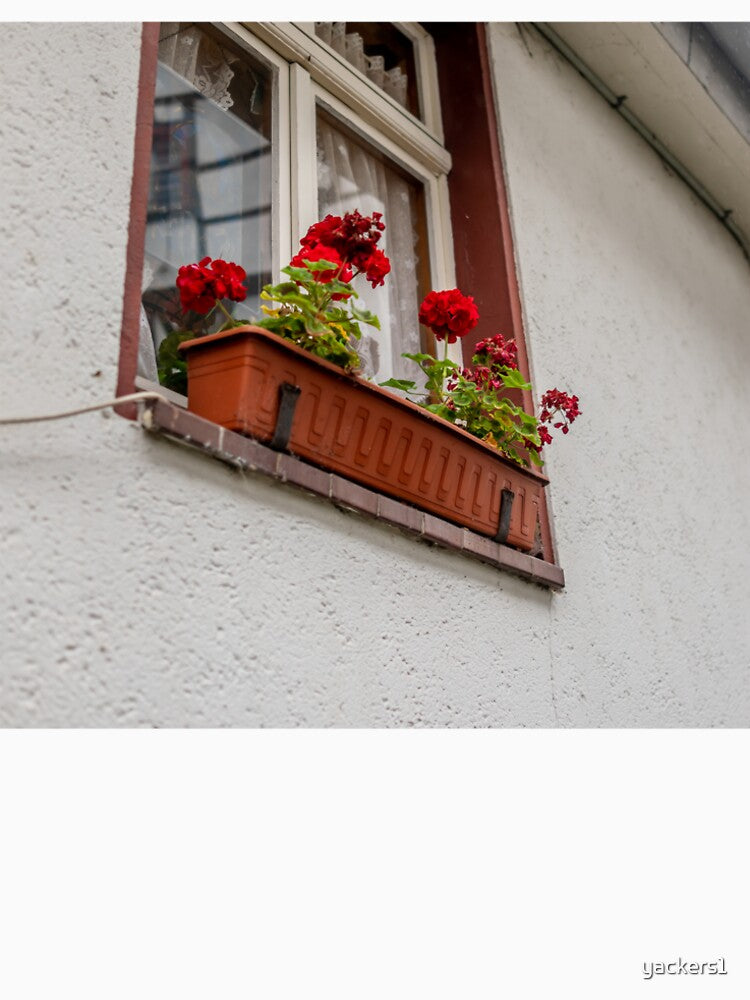 Window box by yackers1