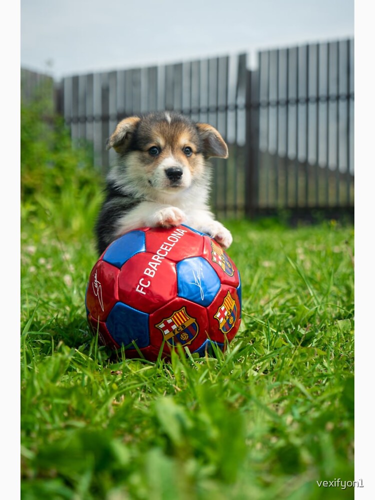 Dog on soccer ball by vexifyon1 Unisex , , , Long Sleeve Tee