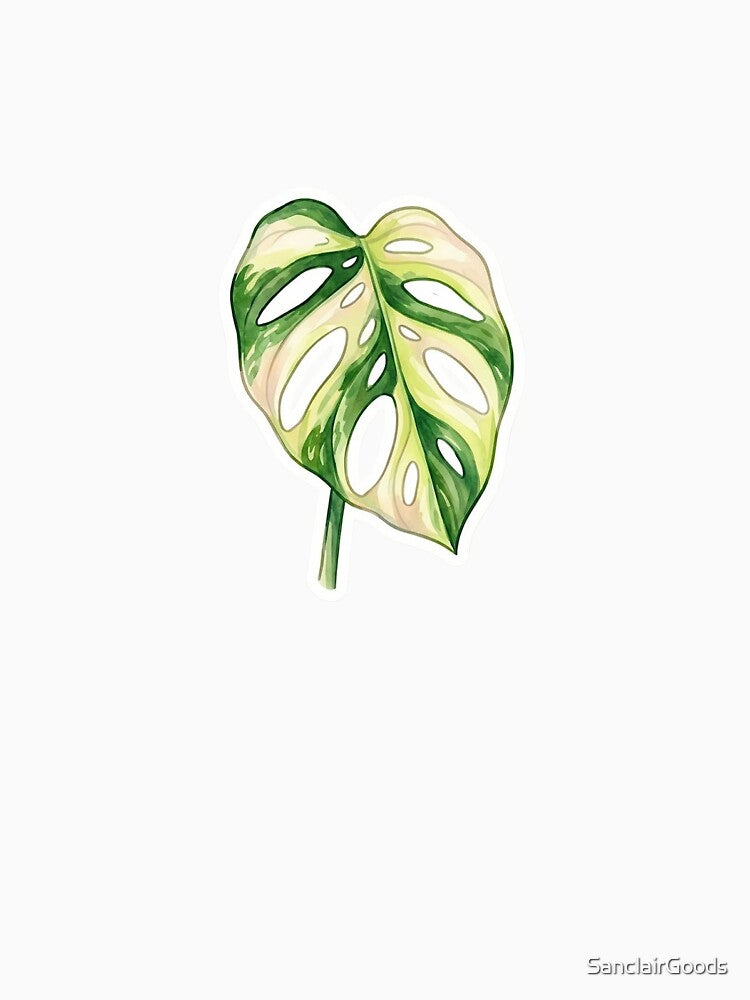 Aesthetic Variegated Monstera Adansonii Botanical Art by SanclairGoods