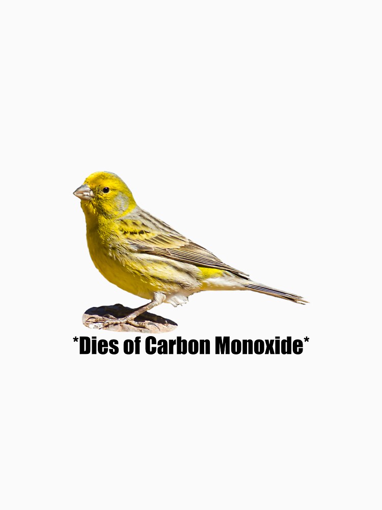 Canary by Disobeyedmocha