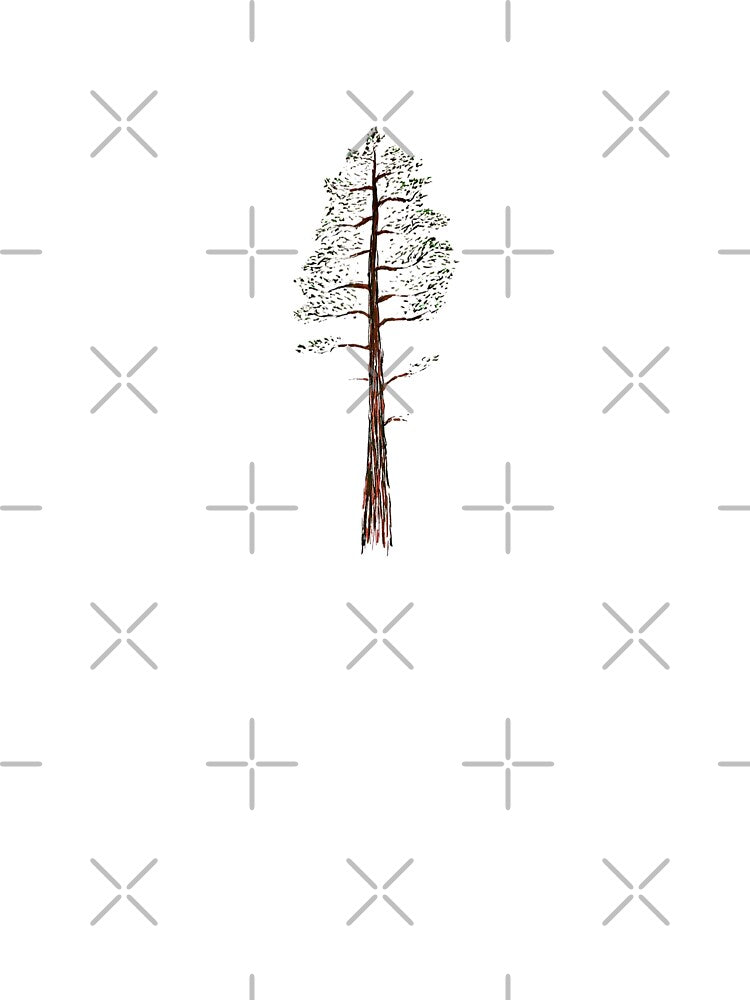 Redwood by Ferith12