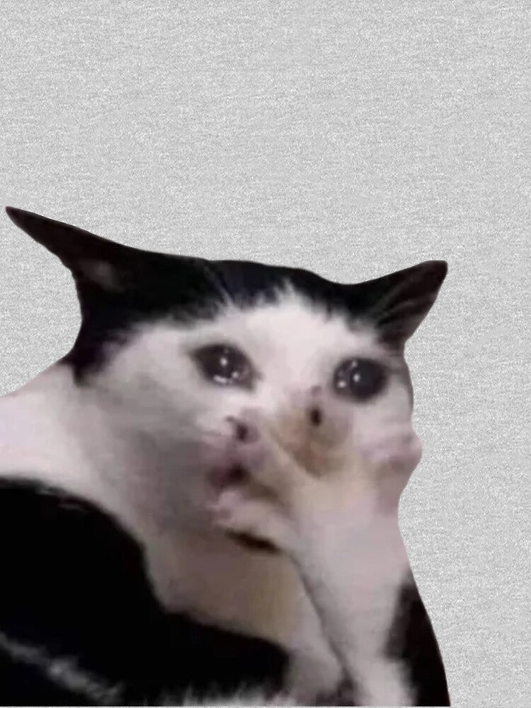 crying cat meme by tttatia