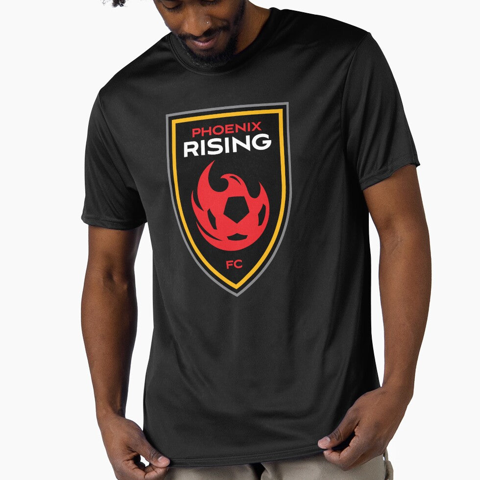Phoenix Rising Logo1 by GemaStore