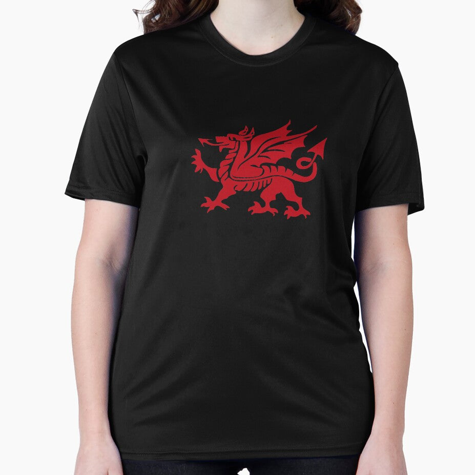 Y Ddraig Goch, Welsh Dragon Large by AHMTheBeesTees
