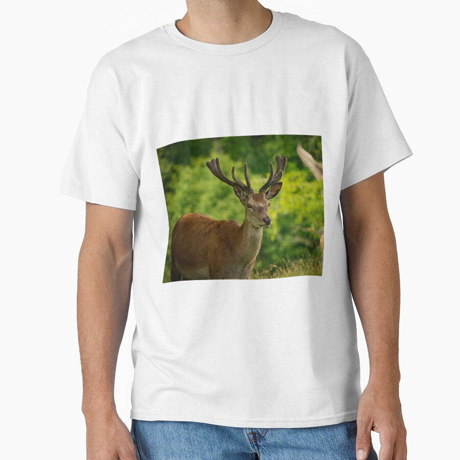stag 5 by ethperez6445vc