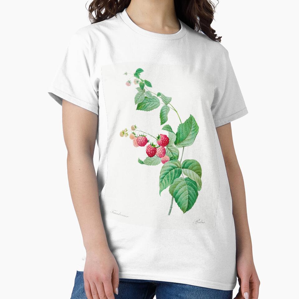 Raspberry Fruit Vintage Botanical Illustration by TheRetroArtRoom