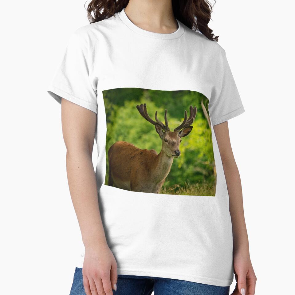 stag 5 by ethperez6445vc
