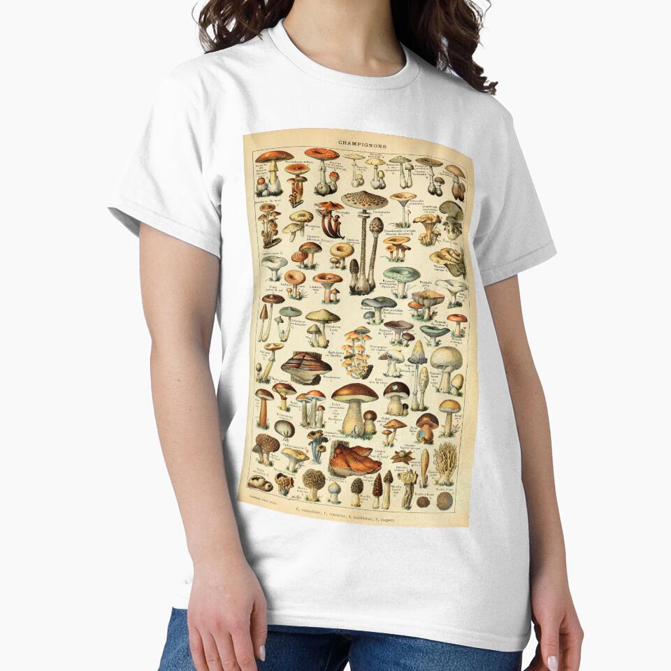 Vintage Mushroom Diagram by haychis