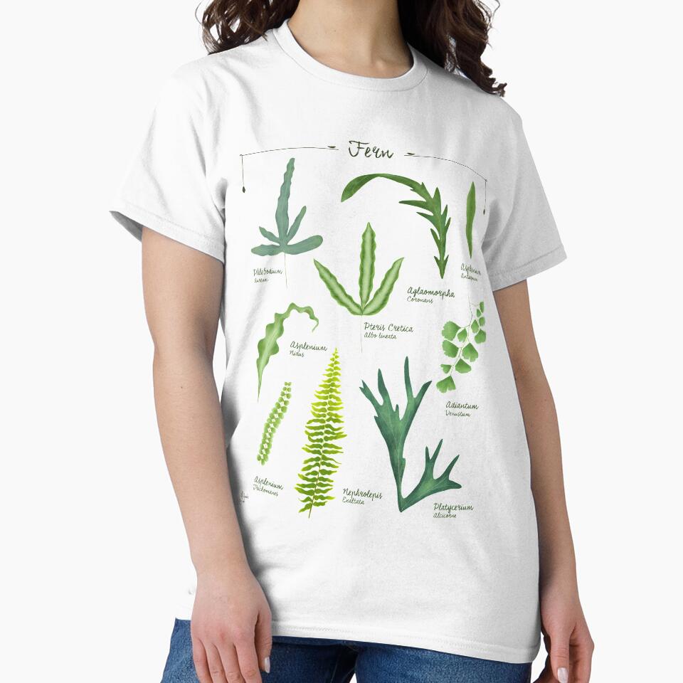 Ferns species collection botanical illustration by Onyria Art