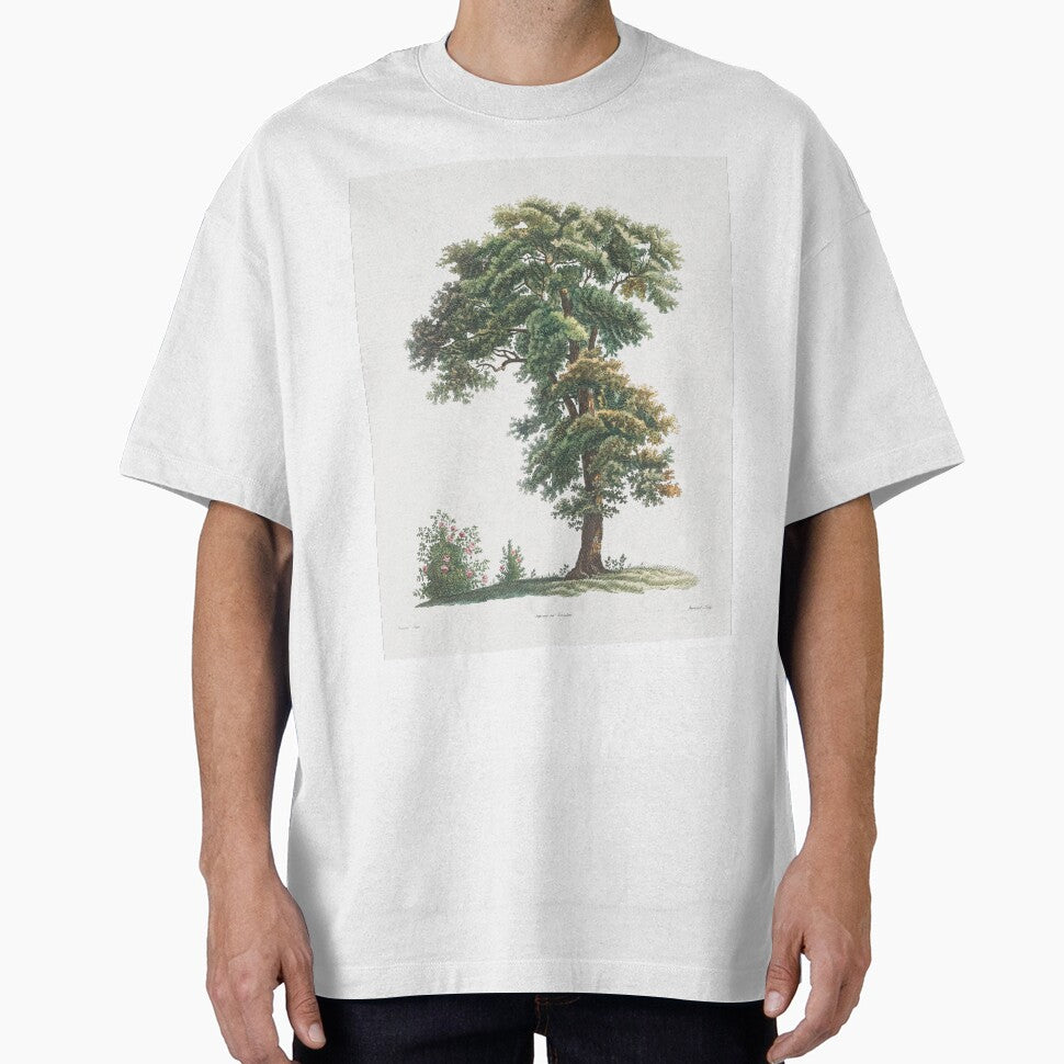 Oak Tree Botanical Illustration by TheRetroArtRoom