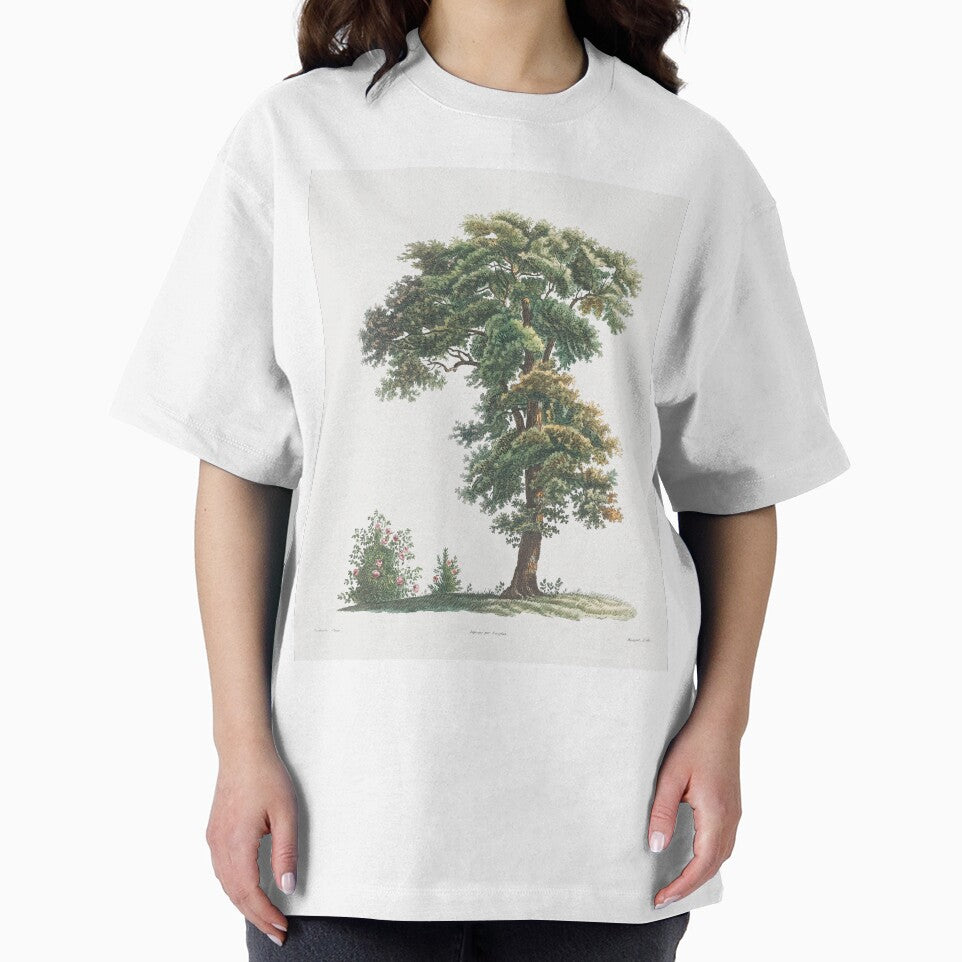 Oak Tree Botanical Illustration by TheRetroArtRoom
