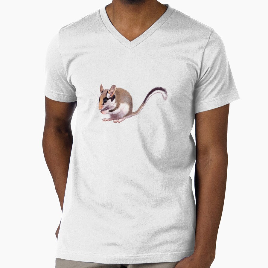 Garden Dormouse by kokayart